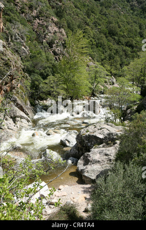 Gorges de Spelunca Ota Porto Corsica Francia Europa Foto Stock