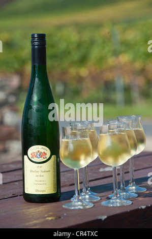 Il Riesling Kabinett vino bottiglia riempita con bicchieri di vino, Rheingau, Hesse, Germania, Europa Foto Stock