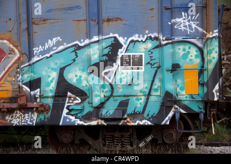 Graffiti dipinti su automobili della ferrovia del treno e USA Foto Stock