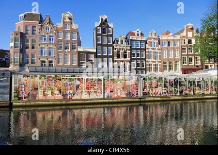 Paesi Bassi, Amsterdam, canale Singel e garitta del mercato dei fiori Foto Stock