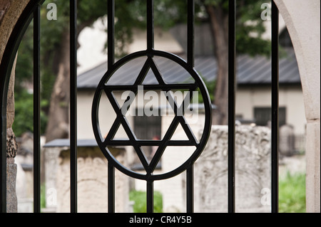 Stella di Davide, cimitero ebreo Kazimierz Quartiere Ebraico, Cracovia, Malopolska, Polonia, Europa PublicGround Foto Stock