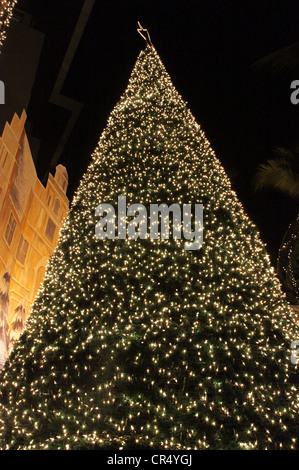 Si tratta di una foto delle luci di Natale o di Natale. Si tratta di notte e molti piccoli bulbi luminosi. Essi sono su tre o alberi di Natale, Foto Stock