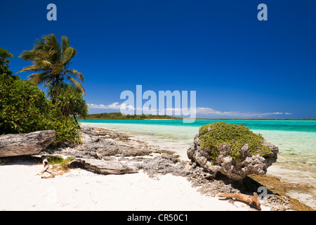Francia, Nuova Caledonia, Isole della Lealtà, Ouvea isola, a nord dell'isola Foto Stock