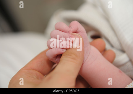 La mano di un bambino di neonato poco dopo la sua nascita con un genitore la mano Foto Stock