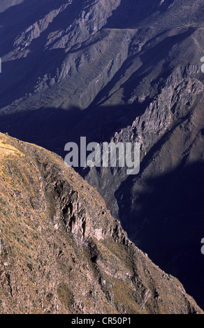 Canyon del Colca. Dipartimento di Arequipa, Perù. Foto Stock