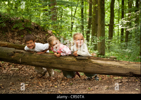 3 bambini, 6, 5 e 4 anni, giocando su un tronco di albero in una foresta Foto Stock