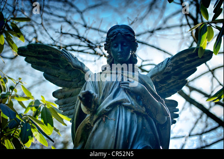 Angelo statua a Ohlsdorf cimitero di Amburgo, Germania, Europa Foto Stock