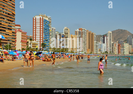 Edifici ad alta e bagnanti su Playa Levante Beach, il turismo di massa, Benidorm, Costa Blanca, Spagna, Europa Foto Stock