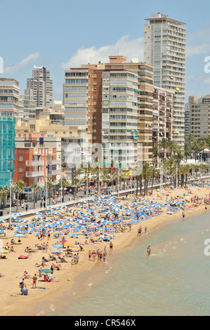 Edifici ad alta su Playa spiaggia di Levante, a Benidorm, Costa Blanca, Alicante, Spagna, Europa Foto Stock