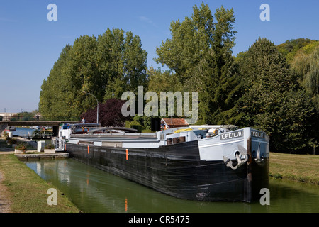 Francia, Seine et Marne, Moret sur LOING, il passaggio di una chiatta nella serratura sul Canal du Loing Foto Stock