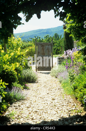 Il Luberon agriturismo ristrutturazione con prodotti localmente pezzi rustico Foto Stock