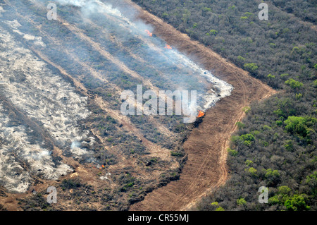 Vista aerea, illegale fire clearing, tronchi, rami e ramoscelli di una foresta cancellati vengono masterizzati sul futuro i campi di soia in Foto Stock