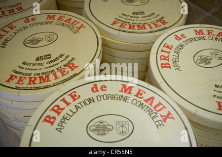 Francia, Seine et Marne, Tournan en Brie, un luogo chiamato Favieres, imballaggio agricoltore Brie AOC a Trente Arpents farm Foto Stock