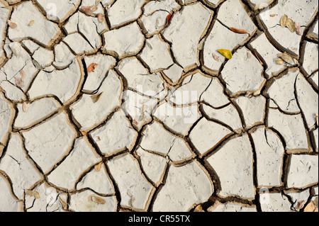 Secco, incrinato fango, immagine simbolica per il cambiamento climatico Foto Stock