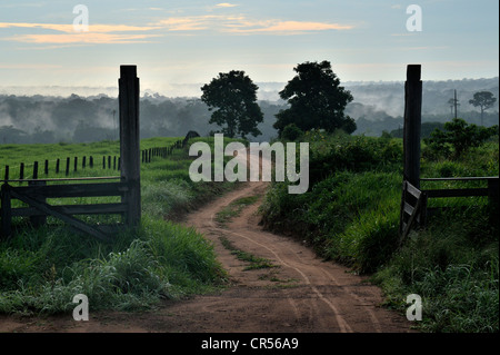 Accesso all'Acampamento 12 de Otubro landless camp, Movimento dos Trabalhadores Rurais Sem Terra Foto Stock