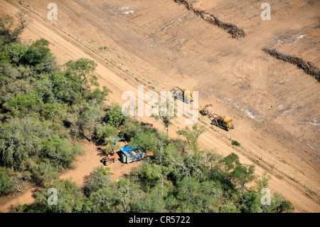 Vista aerea da un aereo Cessna, bulldozer per abbattere il Chaco foresta in uno stato eliminato di recente area, , Argentina Foto Stock