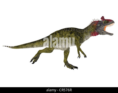 Illustrazione di un Cryolophosaurus (specie di dinosauro) isolato su sfondo bianco Foto Stock