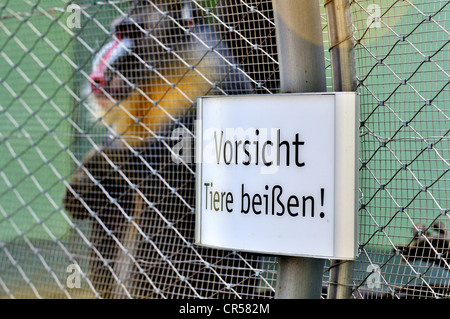 Segno, 'Vorsicht Tiere beissen' o 'Avviso animali bite' su una gabbia di scimmia, zoo di Hellabrunn, Monaco di Baviera, Germania, Europa Foto Stock