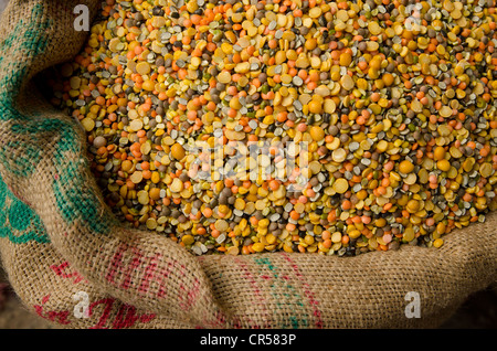 Dhal misti lenticchie per la vendita sul mercato nel sobborgo di Paharganj, Nuova Delhi, India, Asia Foto Stock