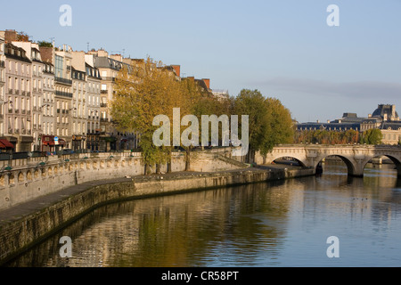 Francia, Parigi, Senna banche Patrimonio Mondiale dell'UNESCO, il Quai Des Grands Augustins e il Pont Neuf sulla piccola succursale di Foto Stock