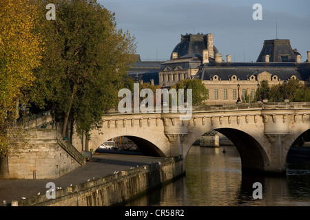 Francia, Parigi, Senna banche Patrimonio Mondiale dell'UNESCO, il Pont Neuf sul piccolo ramo del Fiume Senna e il Louvre Foto Stock