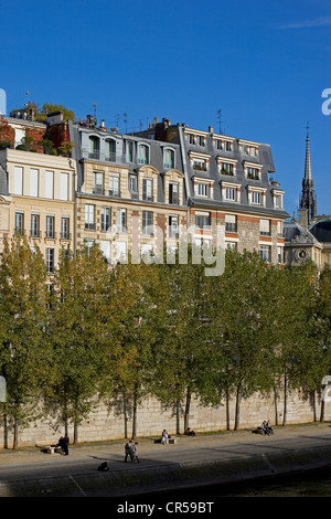 Francia, Parigi, Senna banche Patrimonio Mondiale dell'UNESCO, le facciate dell'Ile de la Cite sul Quai de Gesvres Foto Stock