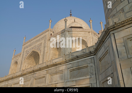 Dettaglio del Taj Mahal, Sito Patrimonio Mondiale dell'UNESCO, Agra, Uttar Pradesh, India, Asia Foto Stock