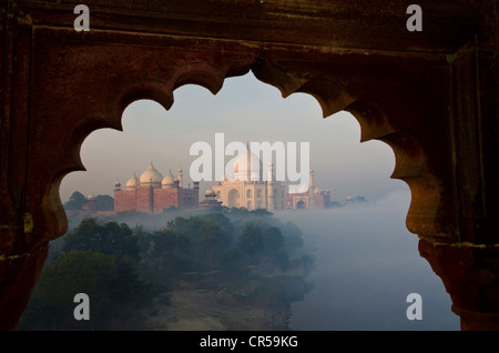 Taj Mahal, Sito Patrimonio Mondiale dell'UNESCO, derivanti dalla nebbia mattutina oltre il fiume Yamuna, Agra, Uttar Pradesh, India, Asia Foto Stock