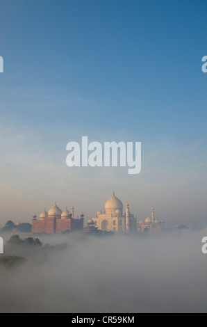 Taj Mahal, Sito Patrimonio Mondiale dell'UNESCO, derivanti dalla nebbia mattutina oltre il fiume Yamuna, Agra, Uttar Pradesh, India, Asia Foto Stock