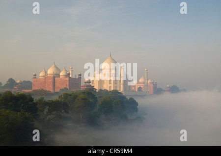 Taj Mahal, Sito Patrimonio Mondiale dell'UNESCO, derivanti dalla nebbia mattutina oltre il fiume Yamuna, Agra, Uttar Pradesh, India, Asia Foto Stock