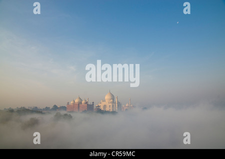 Taj Mahal, Sito Patrimonio Mondiale dell'UNESCO, derivanti dalla nebbia mattutina oltre il fiume Yamuna, Agra, Uttar Pradesh, India, Asia Foto Stock