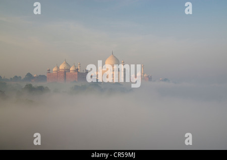 Taj Mahal, Sito Patrimonio Mondiale dell'UNESCO, derivanti dalla nebbia mattutina oltre il fiume Yamuna, Agra, Uttar Pradesh, India, Asia Foto Stock