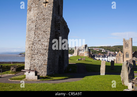 Una giovane donna leggere nella motivazione di Aberystwyth Castle in Galles Foto Stock