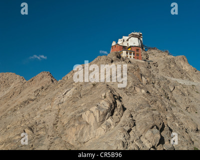 Namgyal Tsemo Gompa, affacciato su Leh, capitale del primo regno di Ladakh Leh, Jammu e Kashmir, India, Asia Foto Stock