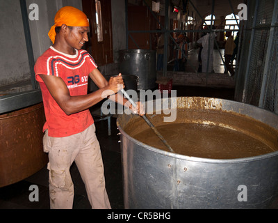 Cibo per tutti i pellegrini viene preparato da volontari e serviti nel langar, o una mensa, Amritsar Punjab, India, Asia Foto Stock