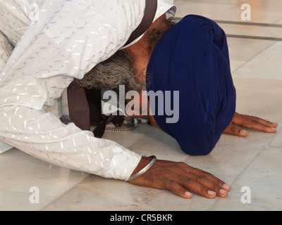 La religione sikh devoto a pregare presso l'entrata nel Tempio Dorato complesso, Amritsar Punjab, India, Asia Foto Stock