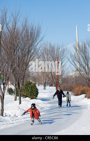 Canada, Manitoba Provincia, Winnipeg, forche, pista di pattinaggio su ghiaccio su di un sentiero, padre e i suoi figli