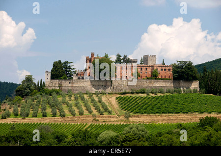 L'Italia, Toscana, Chianti area vinicola, Castello di Brolio vino dominio di produzione Foto Stock