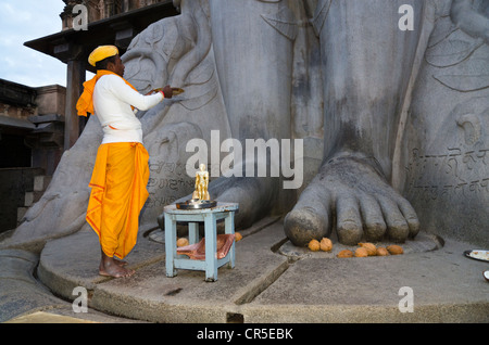 Sacerdote locale facendo la sua preghiera davanti alla statua del signore Gomateshwara, il più alto statua monolitica in tutto il mondo, Foto Stock