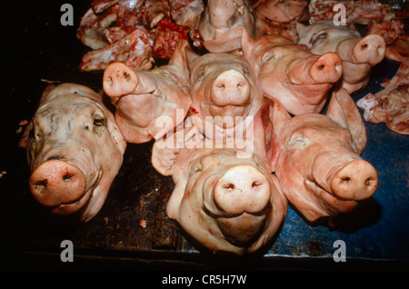 Teste di maiale per la vendita nel mercato di Siem Reap, Cambogia, sud-est asiatico Foto Stock