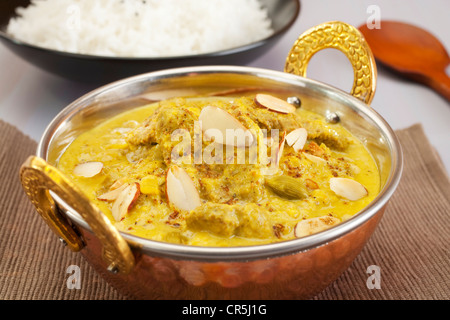 Agnello Pasanda, un ricco curry indiano con fette sottili di carne di agnello, spezie, crema e mandorle. Foto Stock
