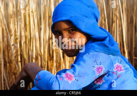 Ragazza di fattoria di colture di taglio a mano, Kurukshetra, Haryana, India, Asia Foto Stock