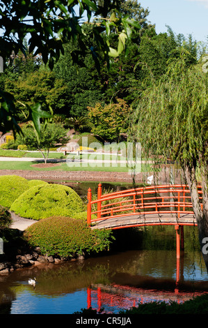 Giardini giapponesi in Toowoomba. Foto Stock