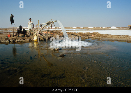 Per la produzione di sale con la vecchia attrezzatura tecnica, Malya, Gujarat, India, Asia Foto Stock