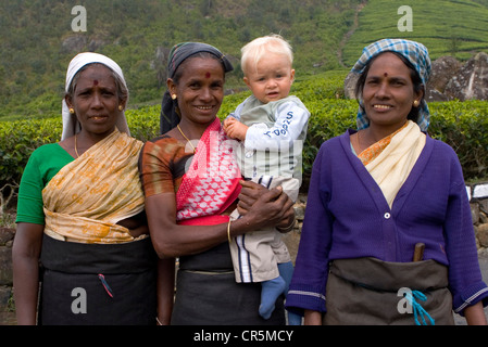 Tamil raccoglitori di tè con un neonato ragazzo, Dambatenne, uva, Sri Lanka Foto Stock