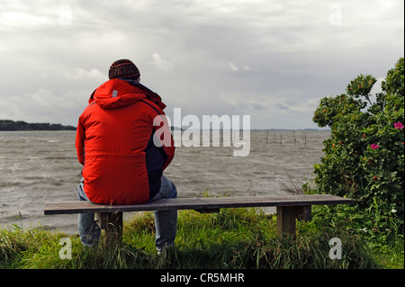 Lonely Man seduta sulle sponde del suono Groensund, Danimarca, Europa Foto Stock