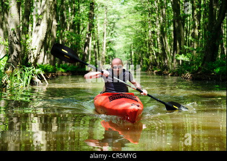 Giovane uomo in una canoa rosso nella zona di Spreewald, Luebbenau, Brandeburgo, Germania, Europa Foto Stock