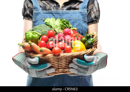 Le donne le mani tenendo un cesto pieno di verdure su sfondo bianco. Foto Stock