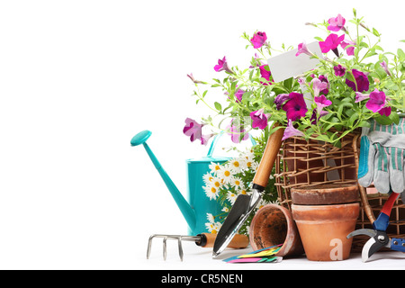 Utensili da giardinaggio e fiori isolati su bianco. Foto Stock