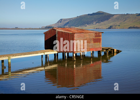 Capannone in barca, ingresso Hoopers, Penisola di Otago, Dunedin, Isola del Sud, Nuova Zelanda Foto Stock